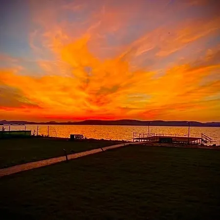 Sinva * Balatonlelle